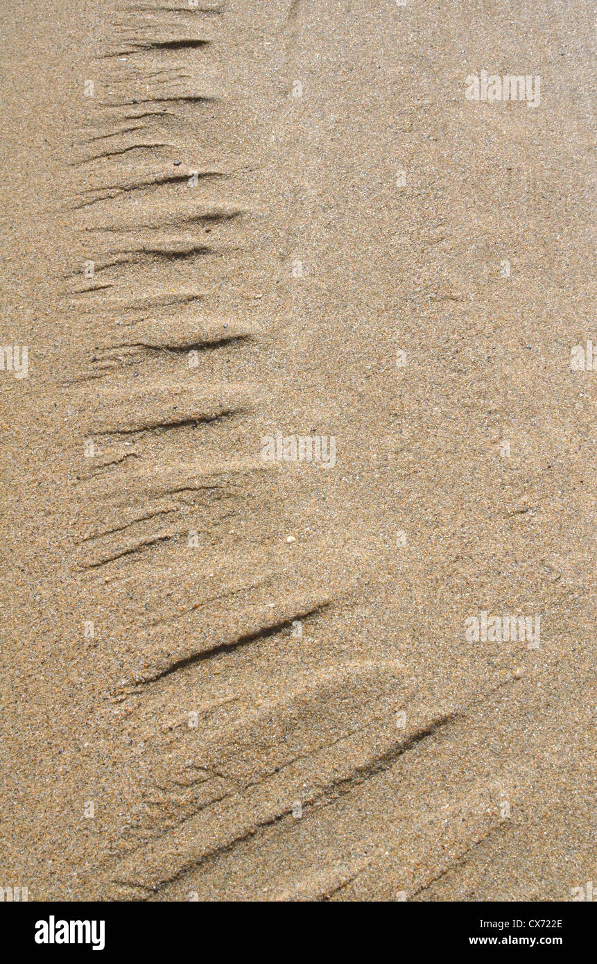 Araneiforms on Mars are spider-like formations that result from sublimation