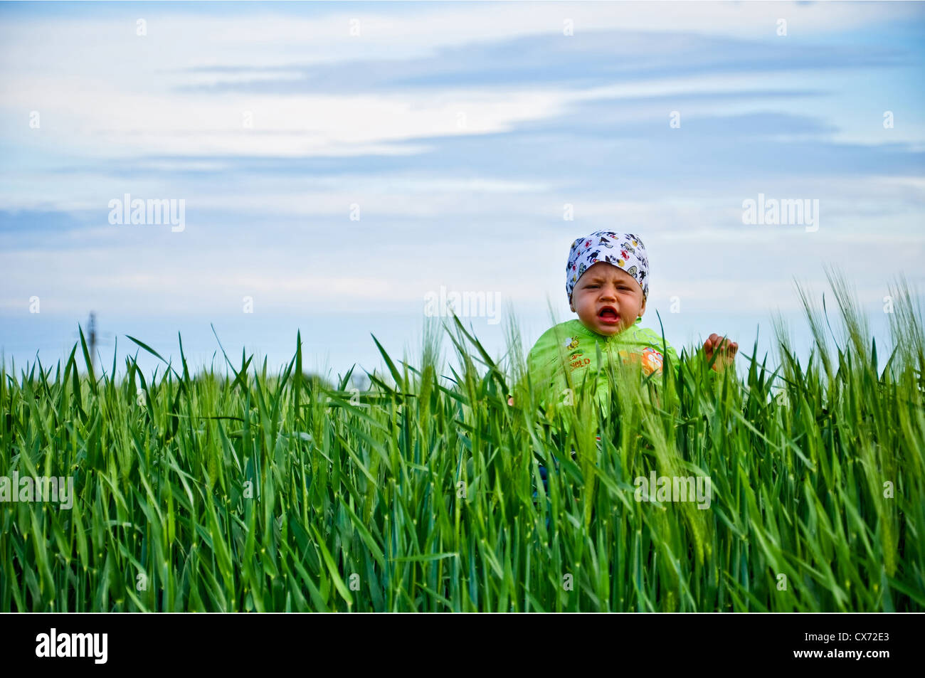 The sky blue green wheat the kid walks across the field Stock Photo