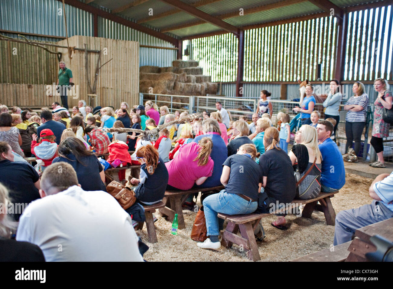 A Crowd ducking at a bird display, UK Stock Photo