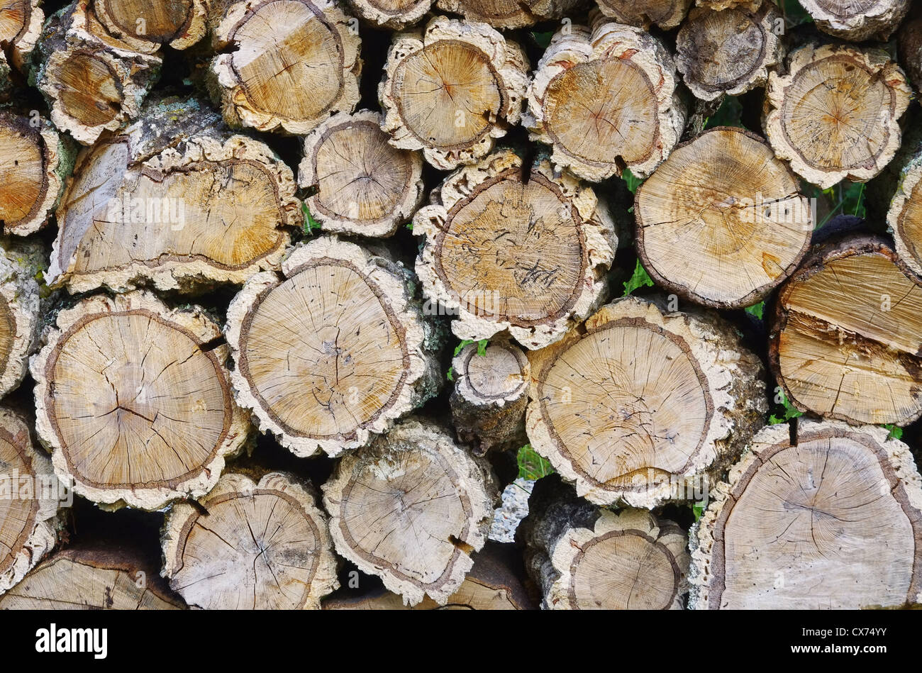 Holzstapel Korkeiche - stack of wood from cork oak 01 Stock Photo