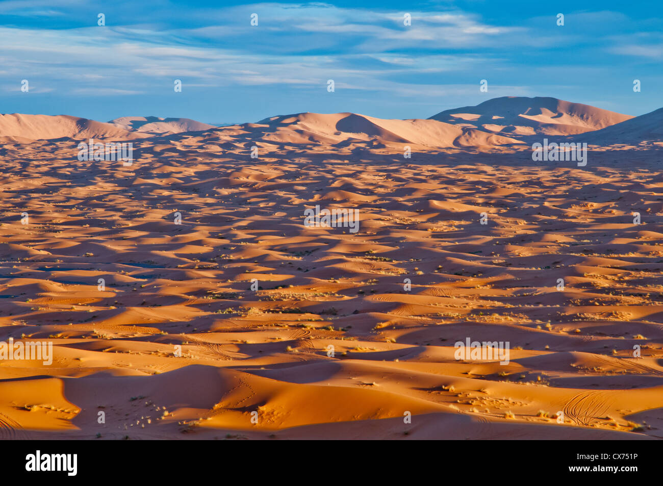 The sand dunes and beautiful sky of the Sahara Desert Stock Photo - Alamy