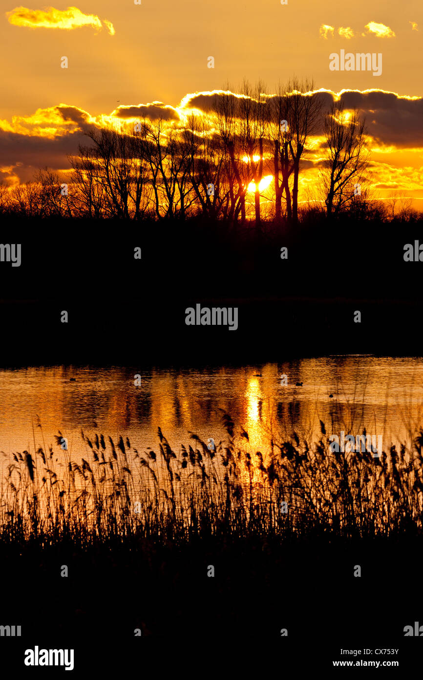 Lee valley hires stock photography and images Alamy