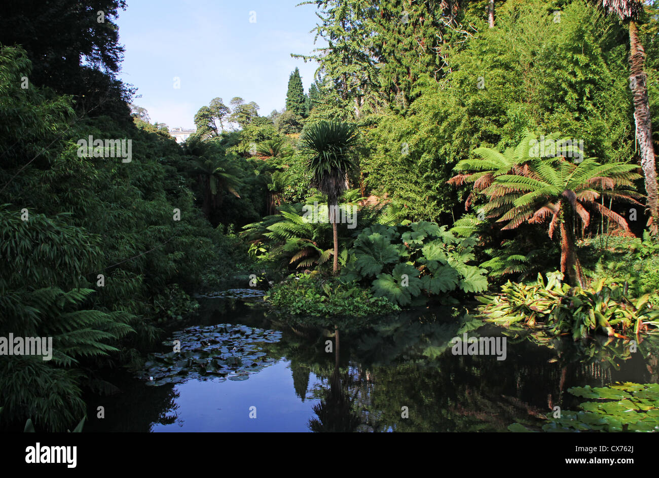 The Lost Gardens of Heligan Stock Photo Alamy