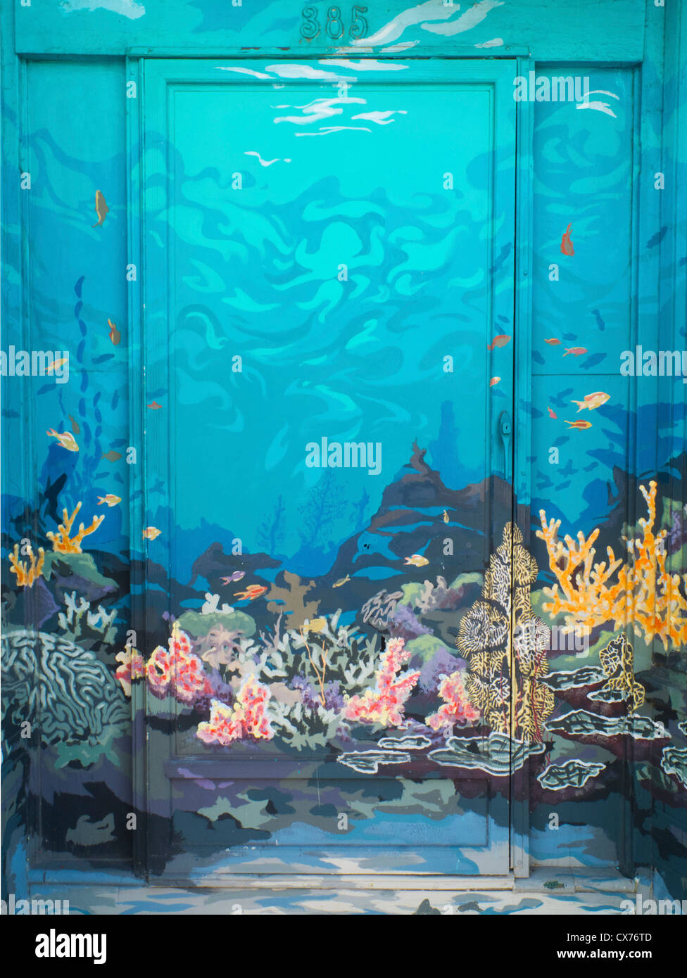 aqua pet store