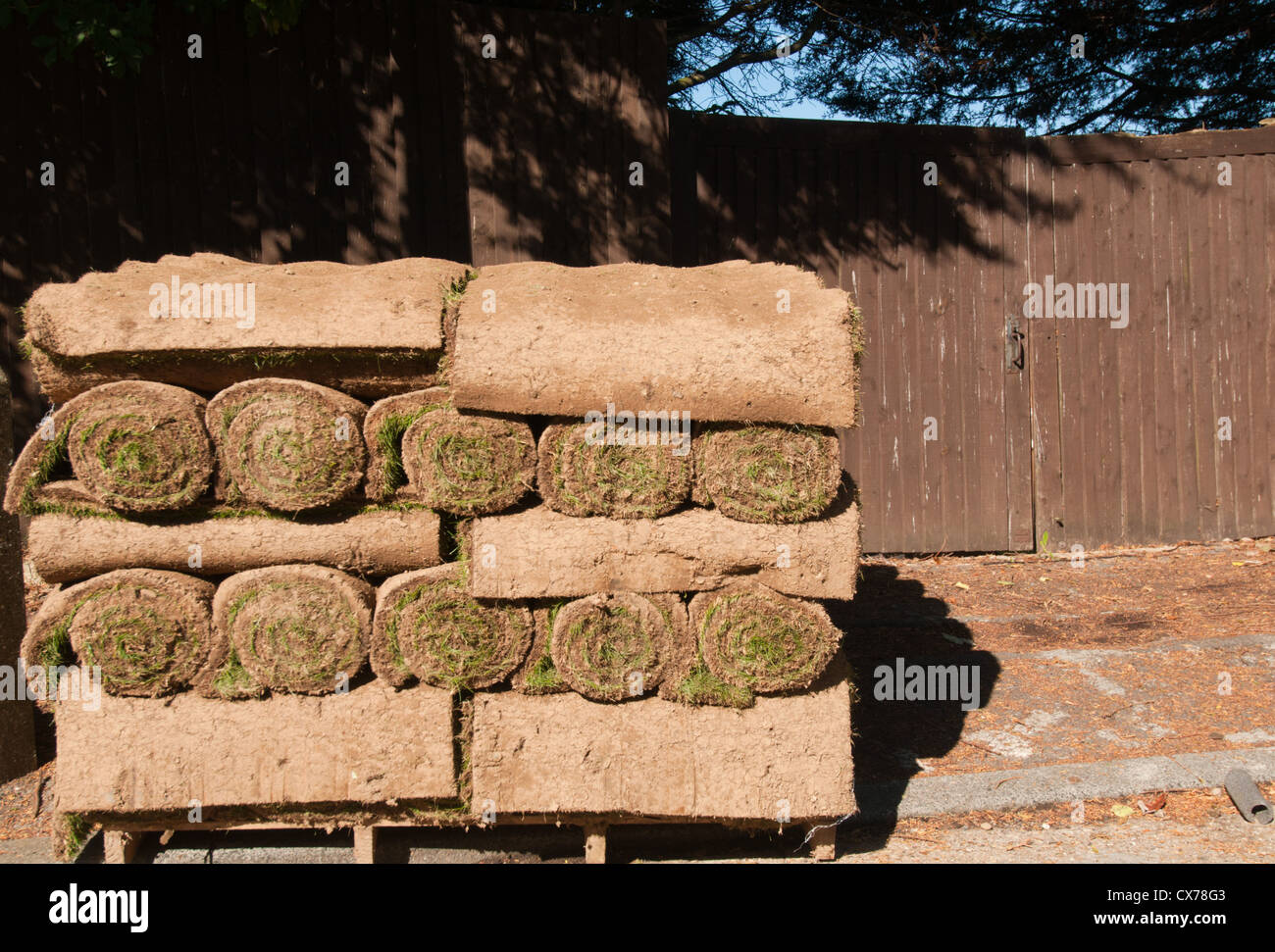 Pallet of rolls of grass turf. UK Stock Photo Alamy