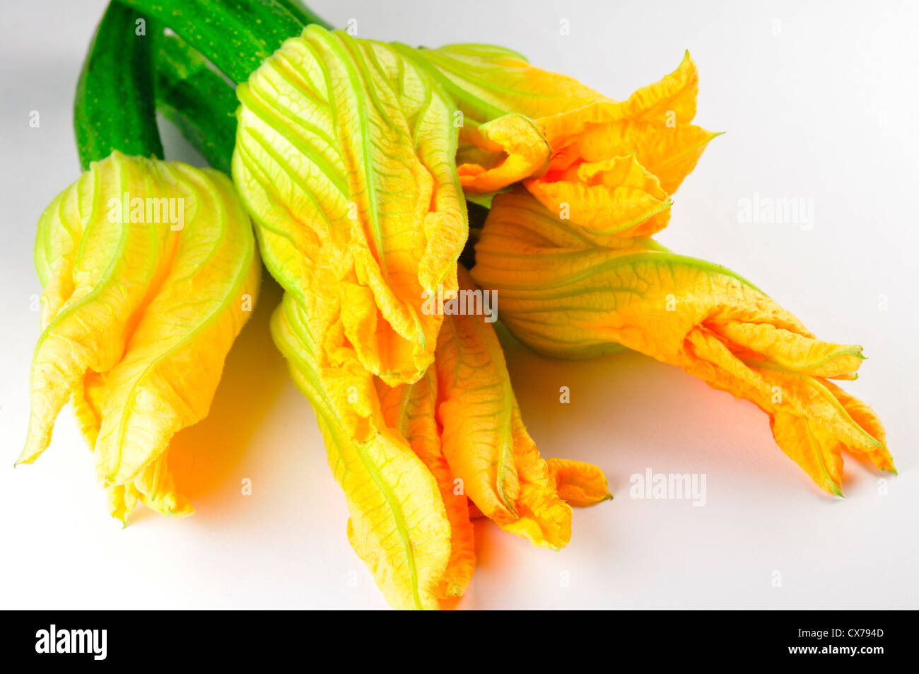 Zucchini flowers, Courgette blooms, Pumpkin flower Stock Photo Alamy