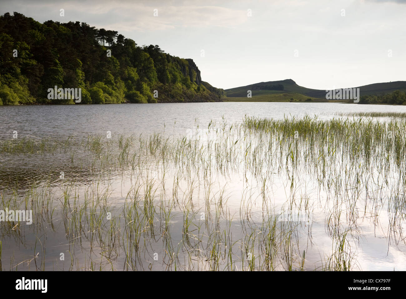 Crag Lough sits on the Hadrian's Wall Path in Northumberland National Park, England Stock Photo