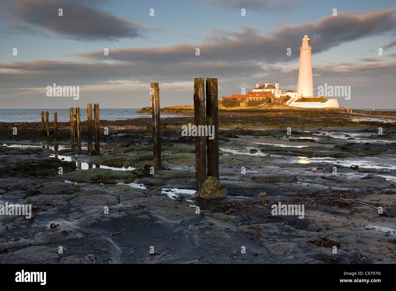 lighthouse bait shop