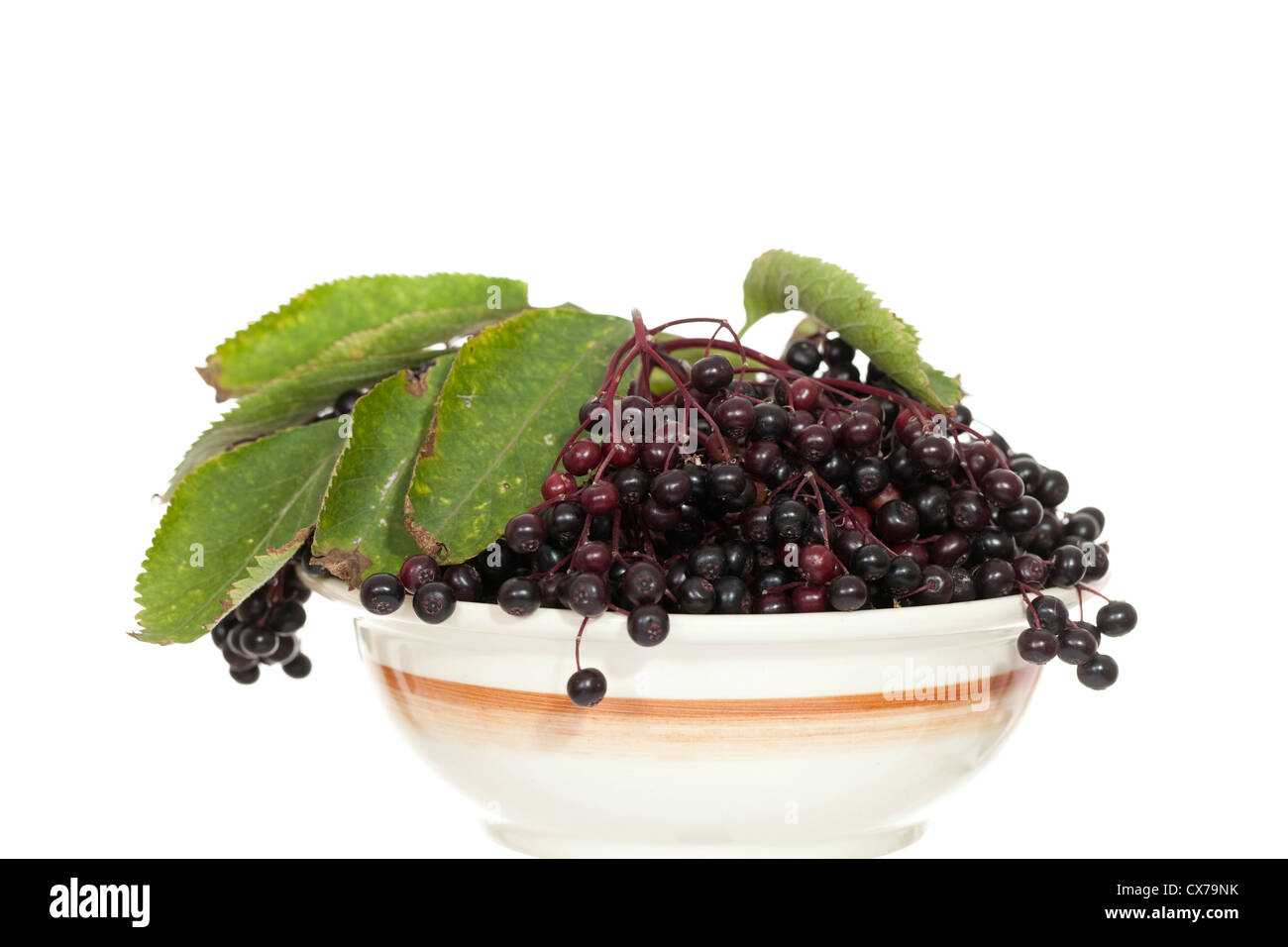 black fruits elderberry in bowl on white background Stock Photo