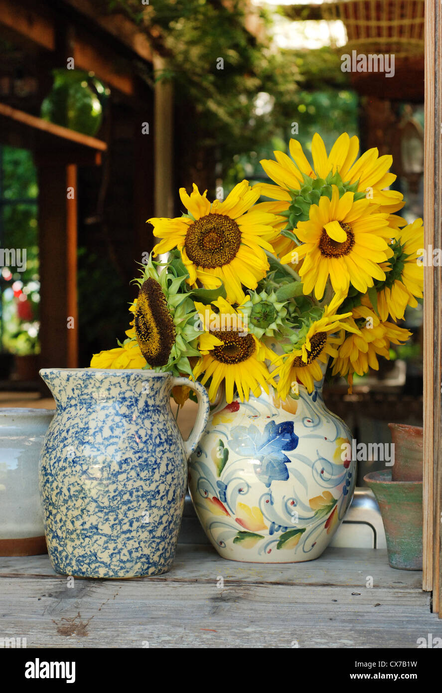 Yellow Sunflowers in a vase Stock Photo - Alamy