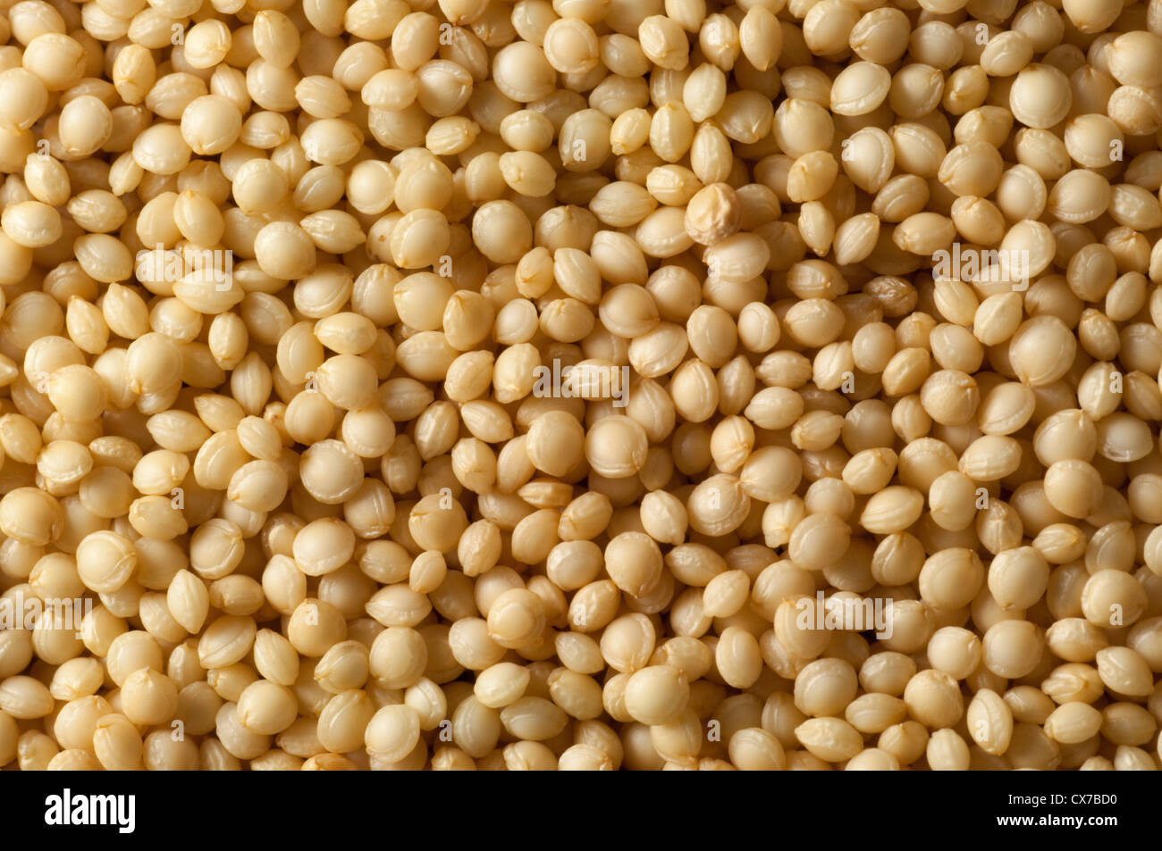 Amaranth Grains Stock Photo Alamy