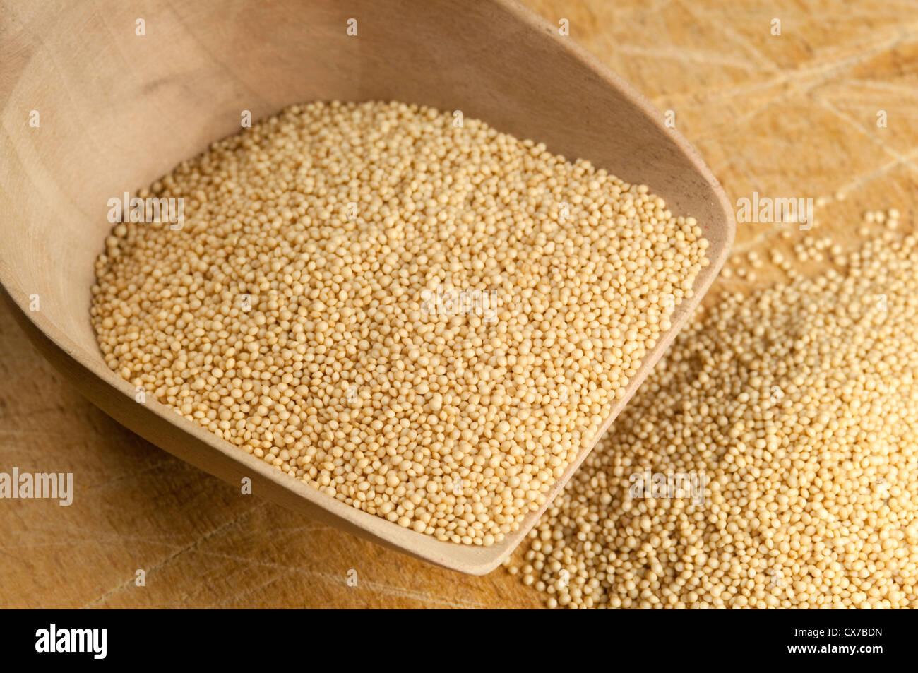 Amaranth Grains Stock Photo Alamy