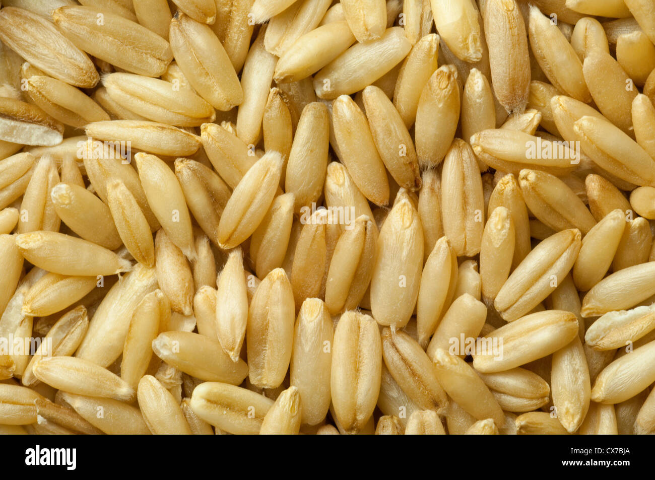 Grain Husks High Resolution Stock Photography And Images Alamy