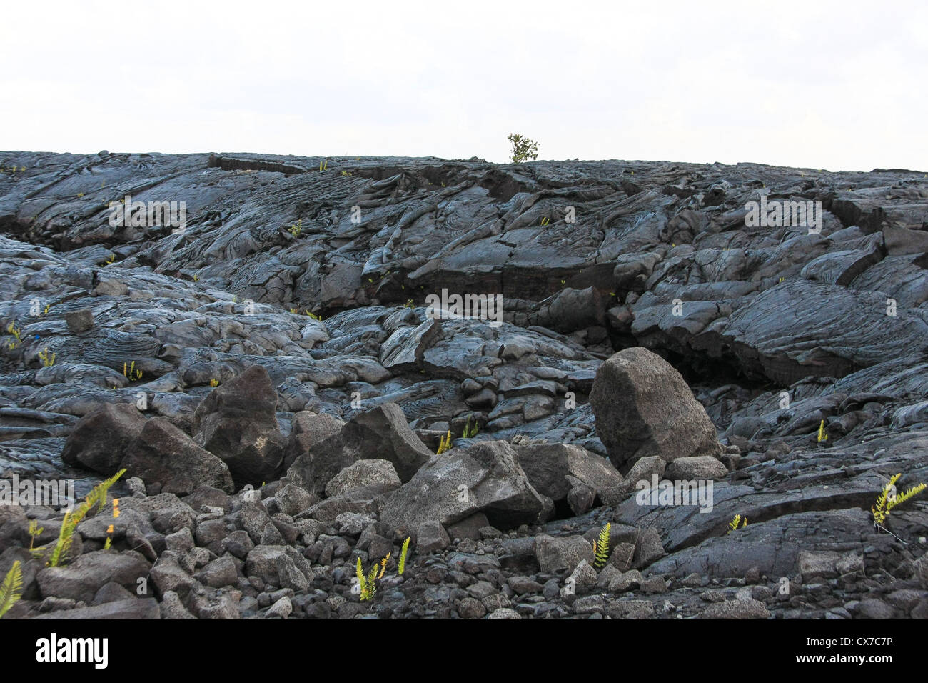 View on the molten rock after the volcano eruption Stock Photo Alamy