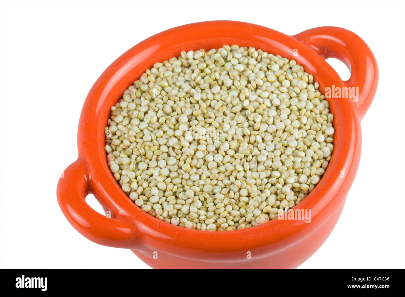 Quinoa, Chenopodium quinoa Stock Photo