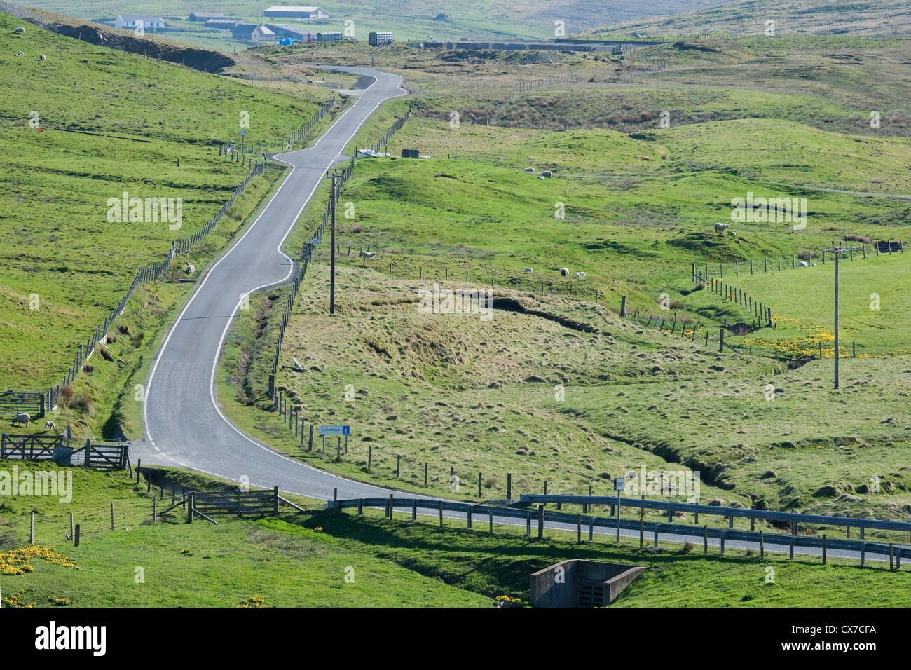 Single Track Road with Passing Places North West Mainland, Shetland, UK LA005684 Stock Photo