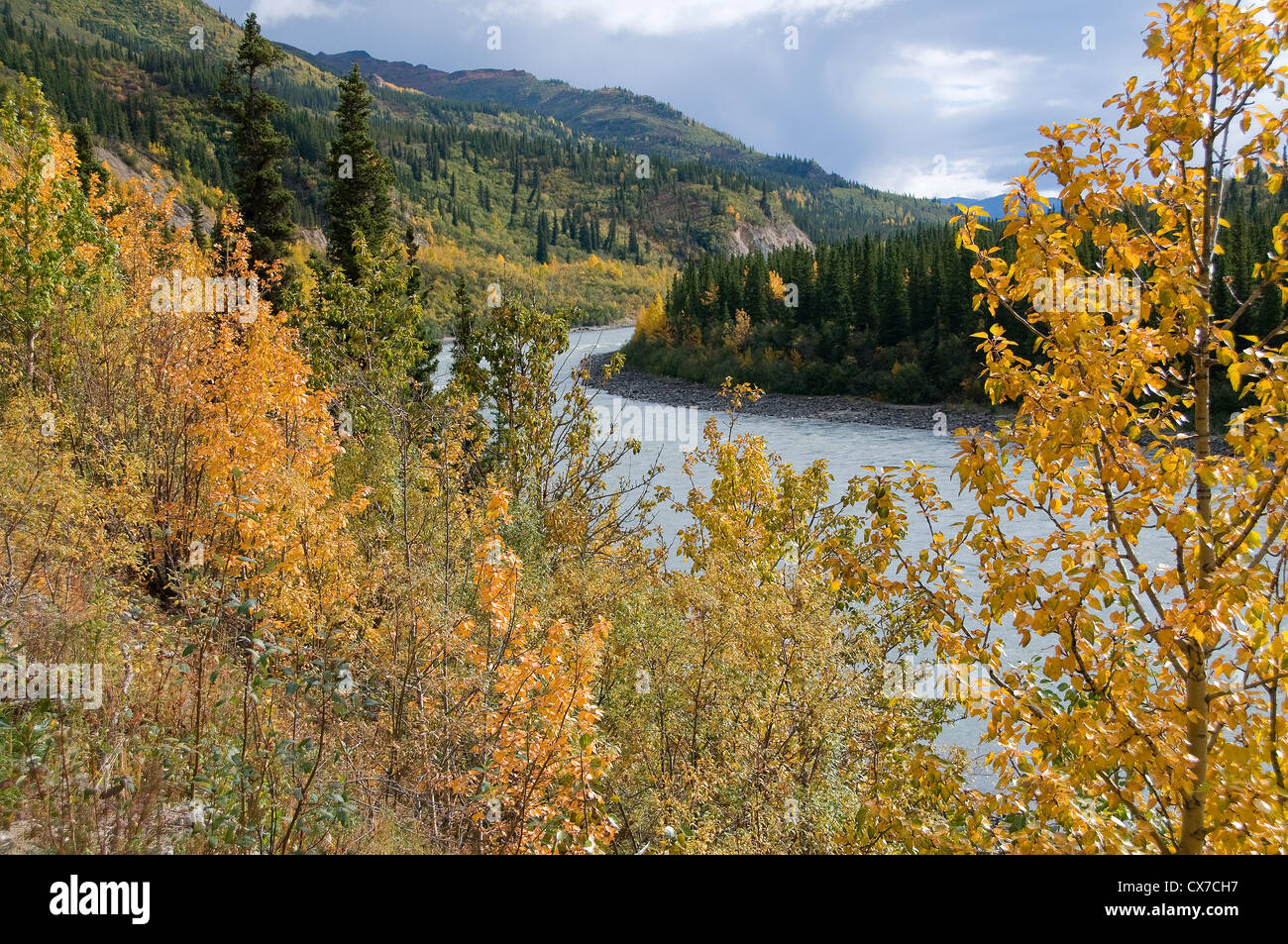 The Nenana River in Alaska's Denali National Park offers beautiful