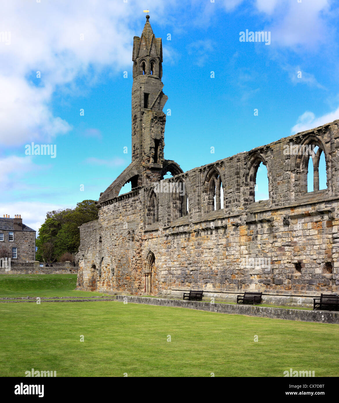 St Andrews Cathedral, St Andrews, Fife, Scotland, UK Stock Photo Alamy
