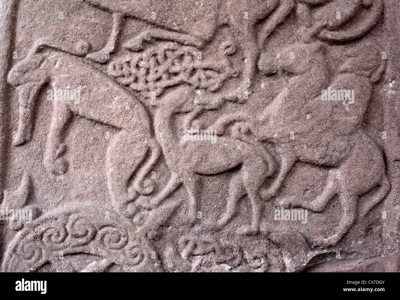 Pictish carved stone, Meigle Sculptured Stone Museum, Meigle, Perth and Kinross, Scotland, UK Stock Photo