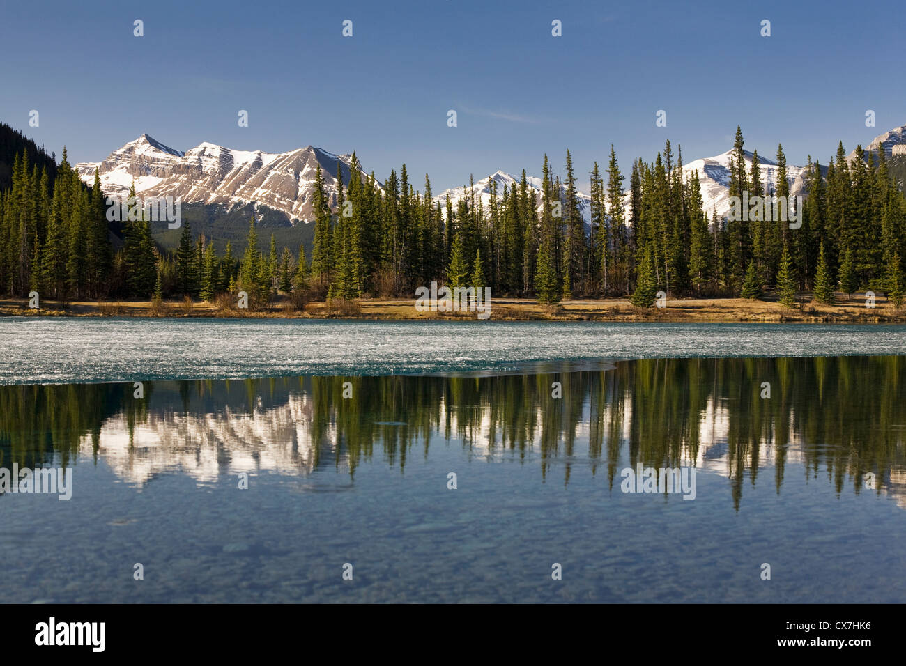 Mountain lake evergreen forest hi-res stock photography and images - Alamy