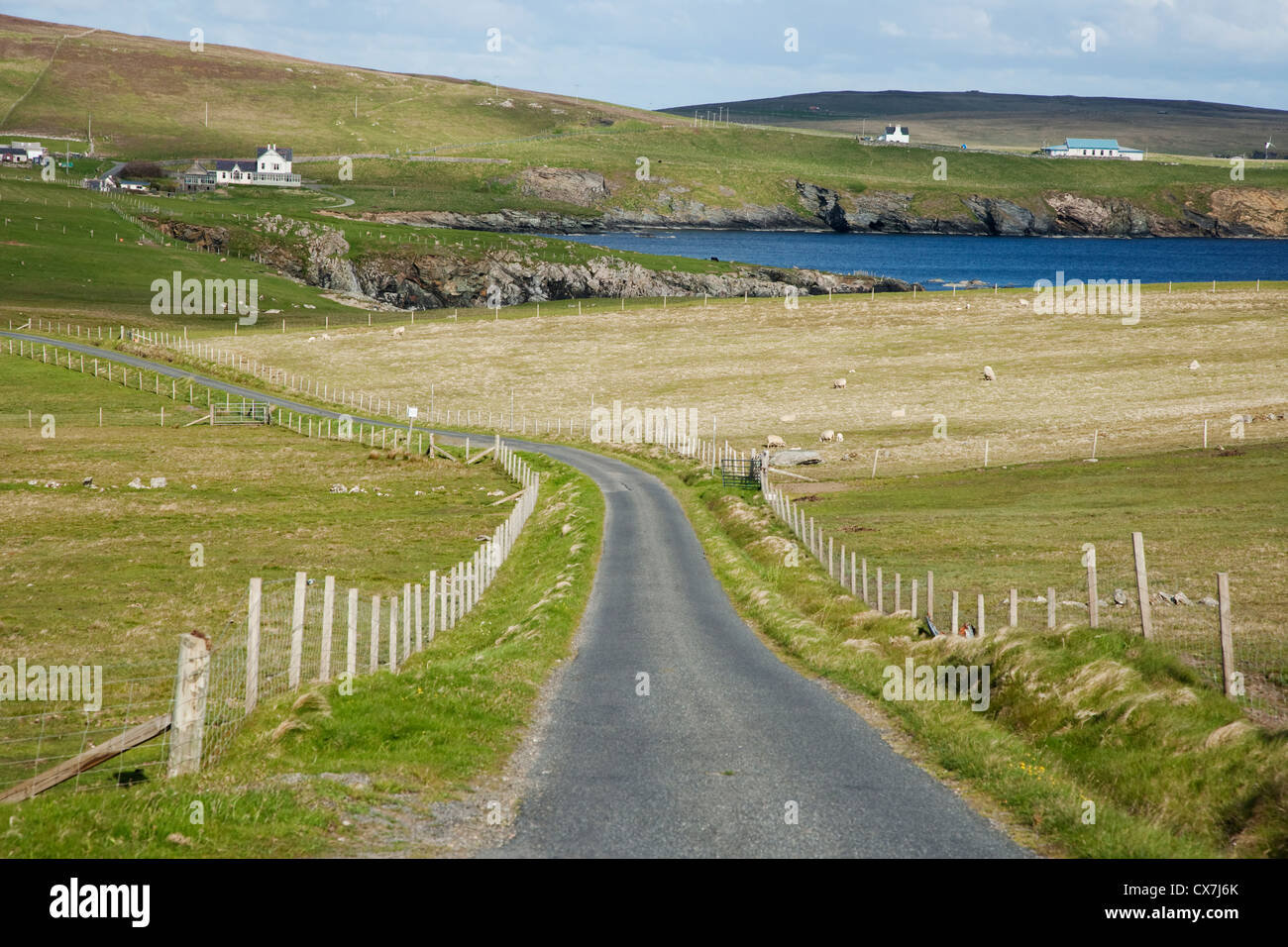 Single Track Road with Passing Places Fetlar, Shetland, UK LA005755 Stock Photo