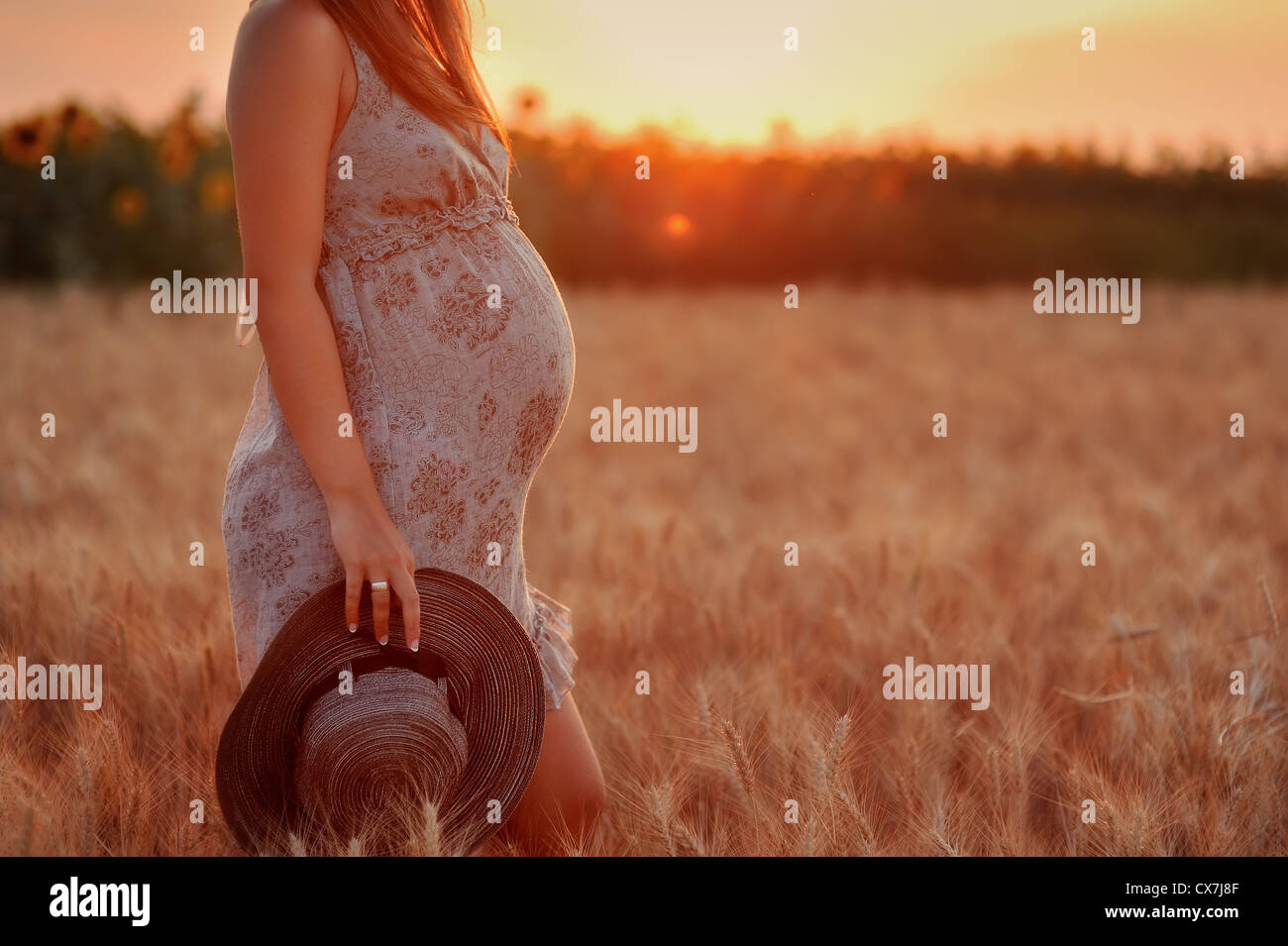 the pregnant girl with a hat in the field of wheat on a sunset Stock ...