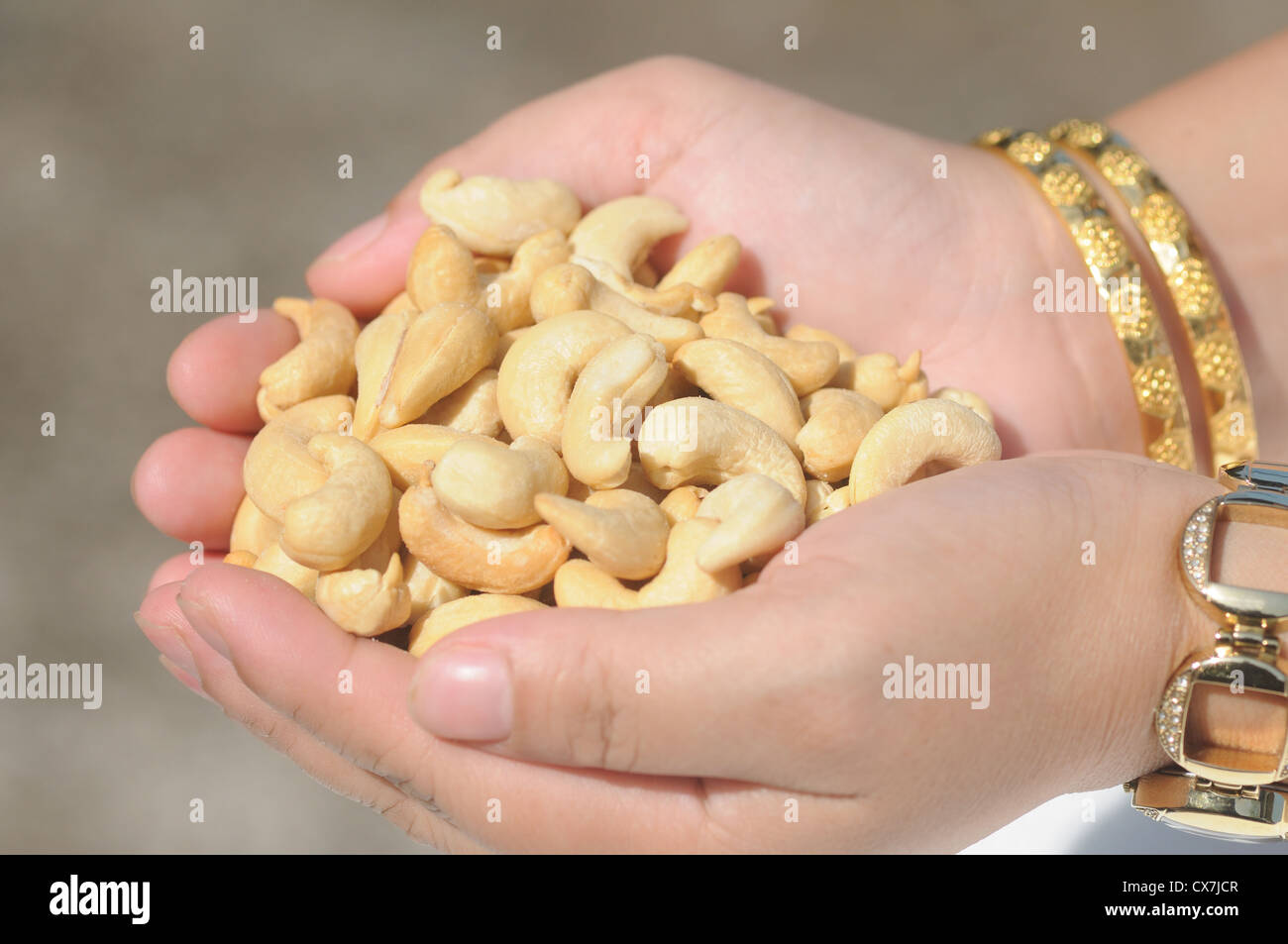 CASHEW The cashew is a tree in the family Anacardiaceae.  Originally native to Northeast Brazil, Stock Photo