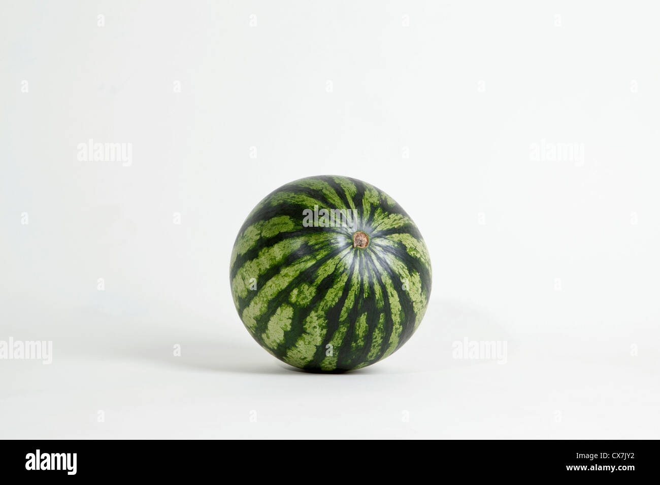 A whole ripe watermelon, studio shot Stock Photo
