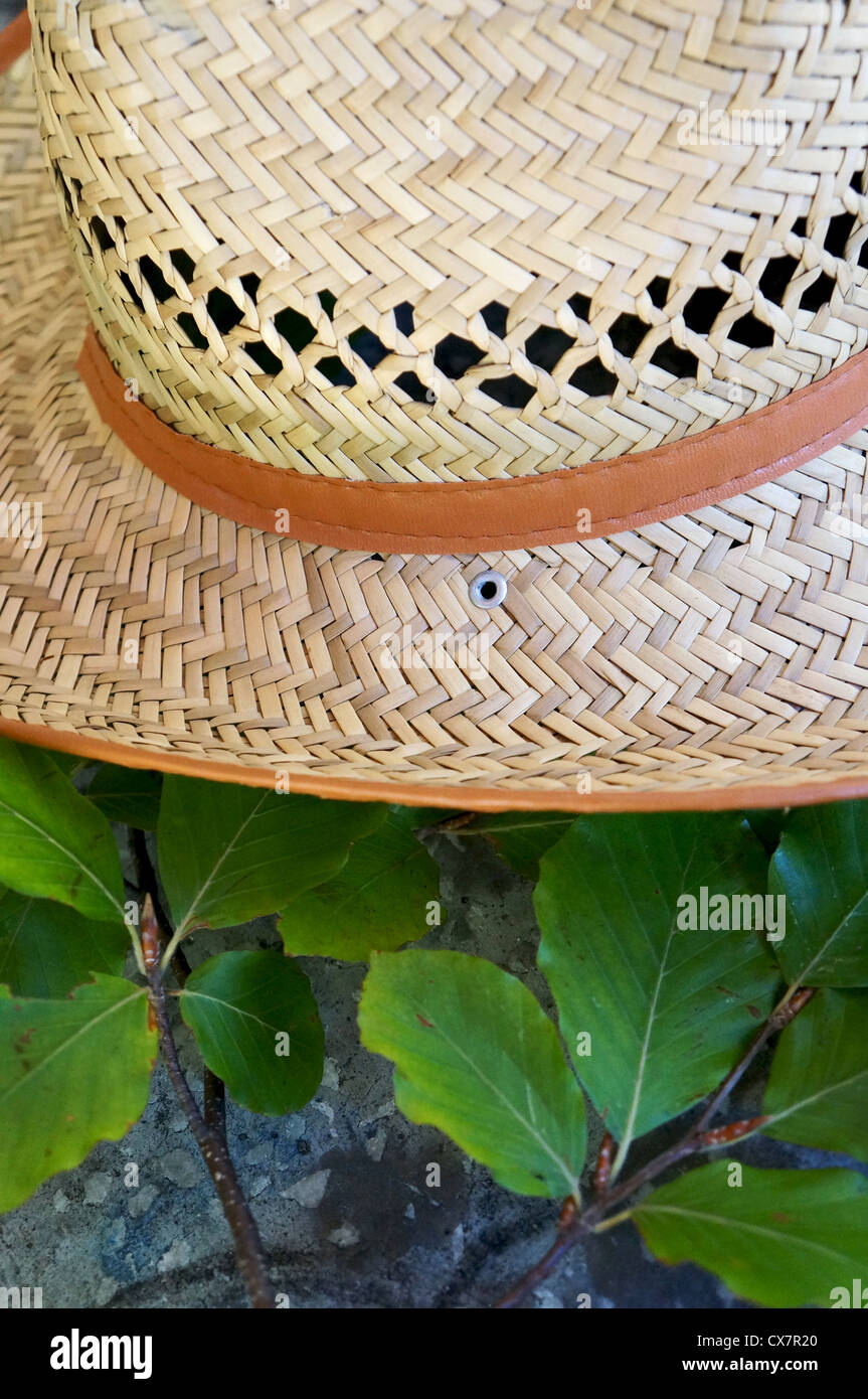Close up view of a straw hat with a branch with green leaves over a ...