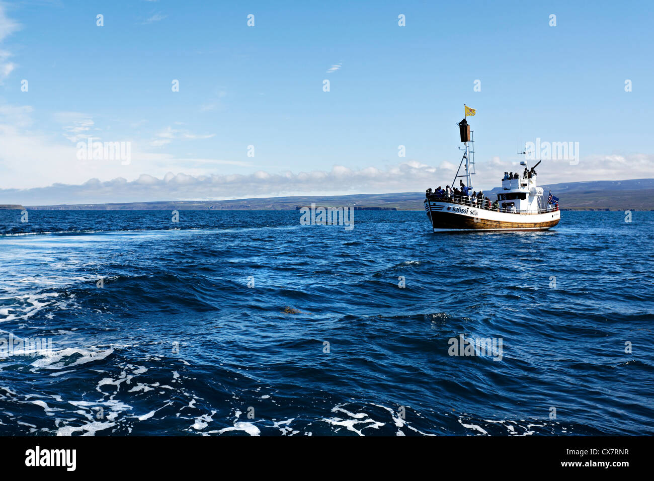 Whale watching boat, Húsavik Iceland Stock Photo - Alamy