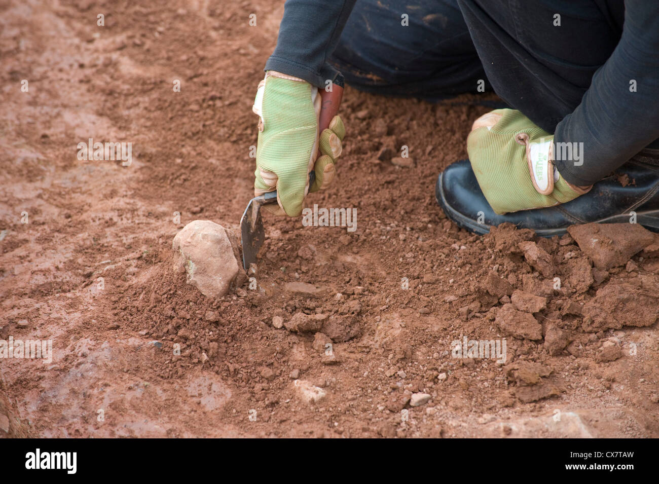 Archaeologist digging with trowel at a prehistoric neolithic site on Dorstone Hill Herefordshire