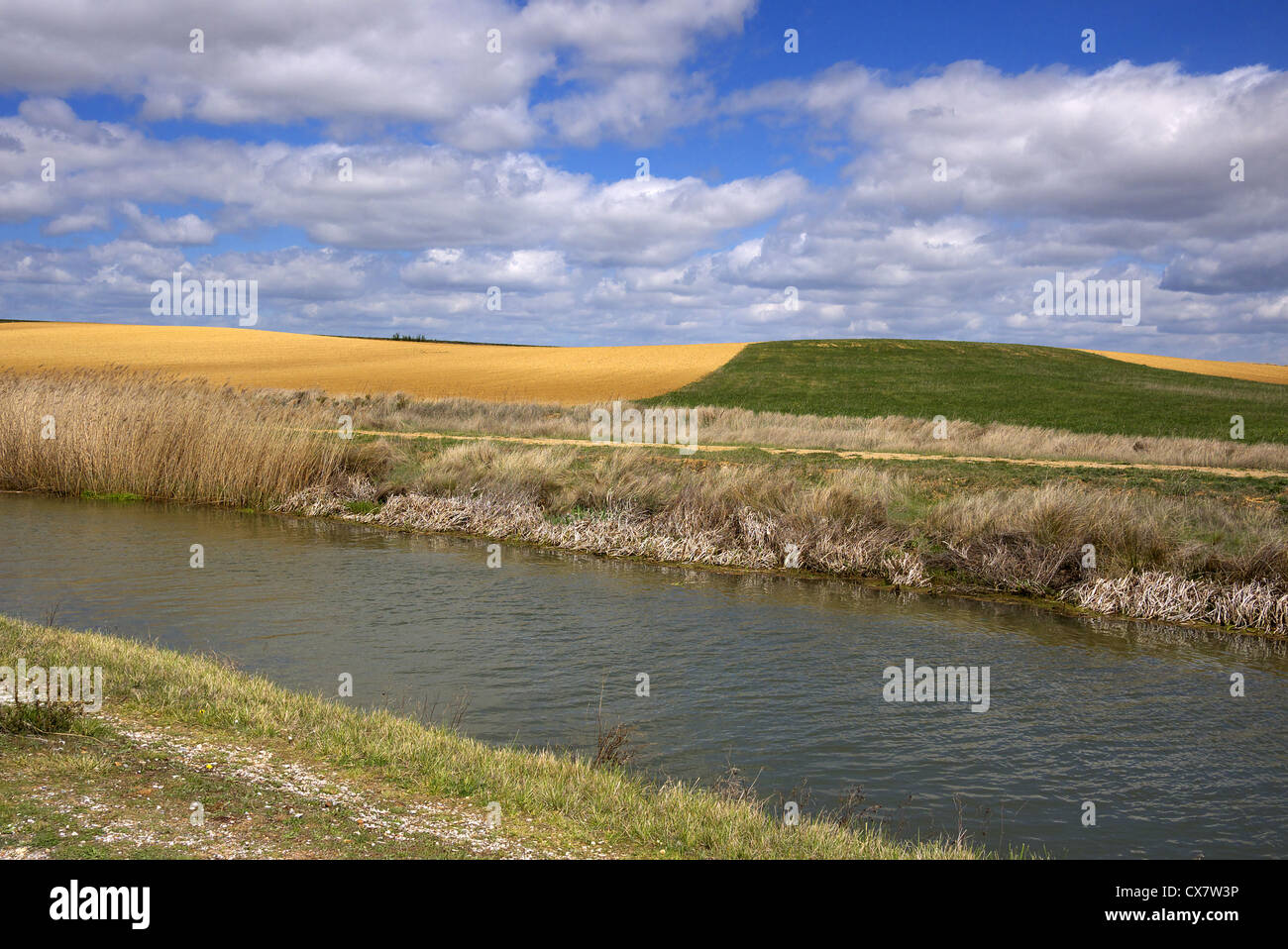 The Canal de Castilla next to the camino route near Fromista in Spain. Stock Photo