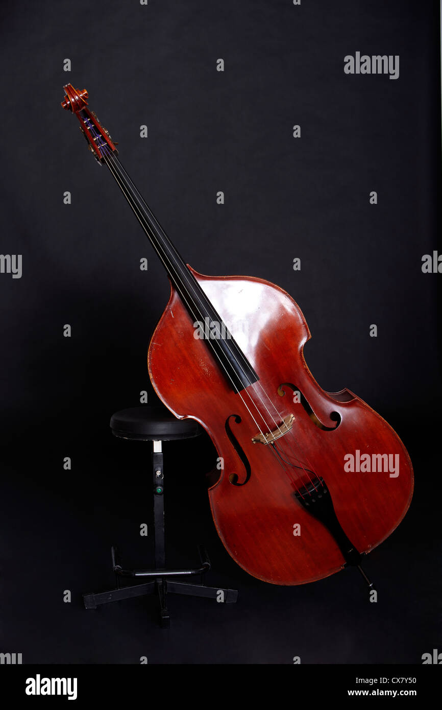 Contrabass in front of black background Stock Photo