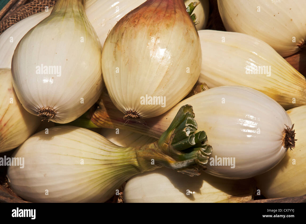 bunch of onions at a farmers market Stock Photo - Alamy