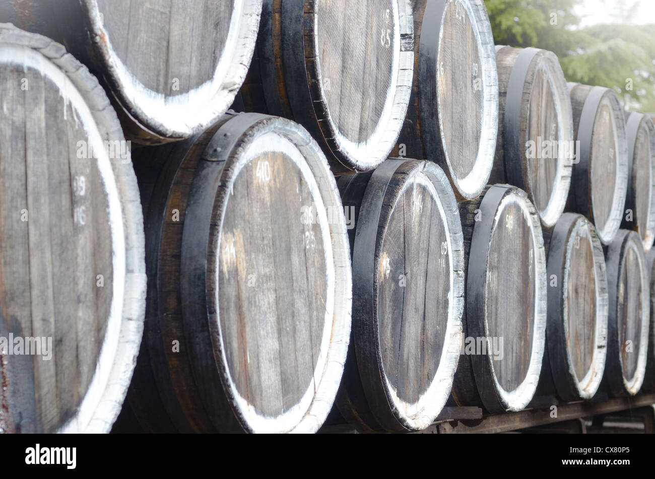 Oak port port wine barrels in a row Stock Photo - Alamy