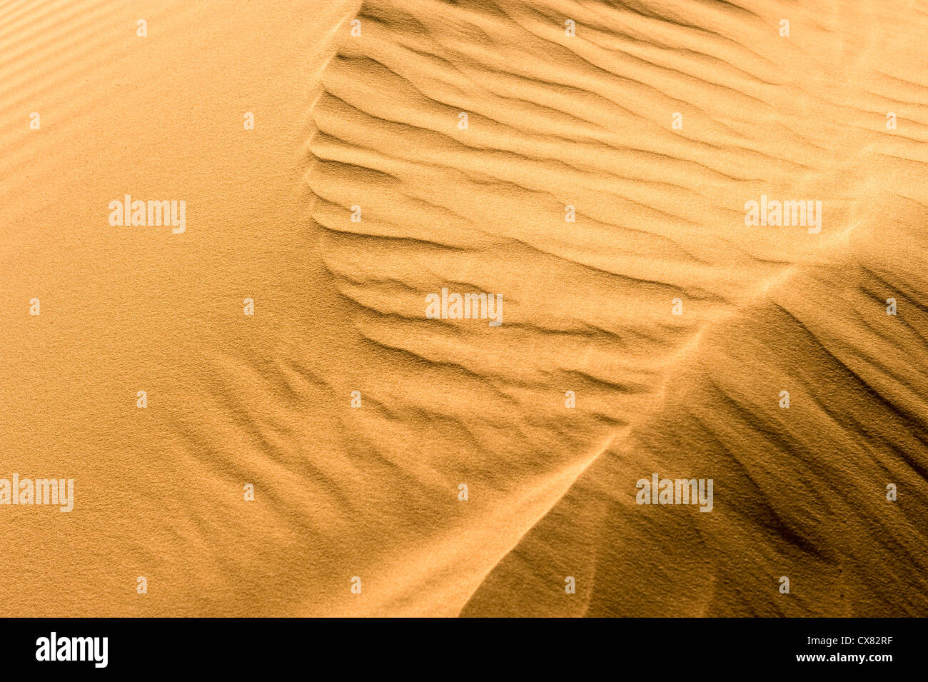 Desert Sand Dune. Photographed in Israel, Negev Desert Stock Photo