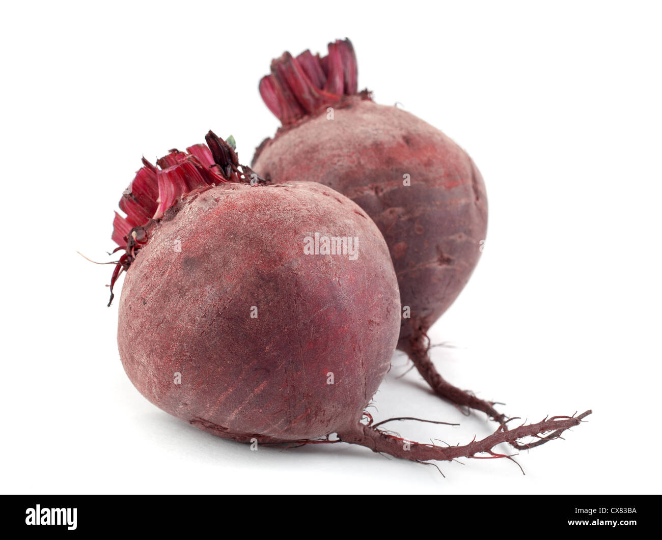 beet root on a white background Stock Photo