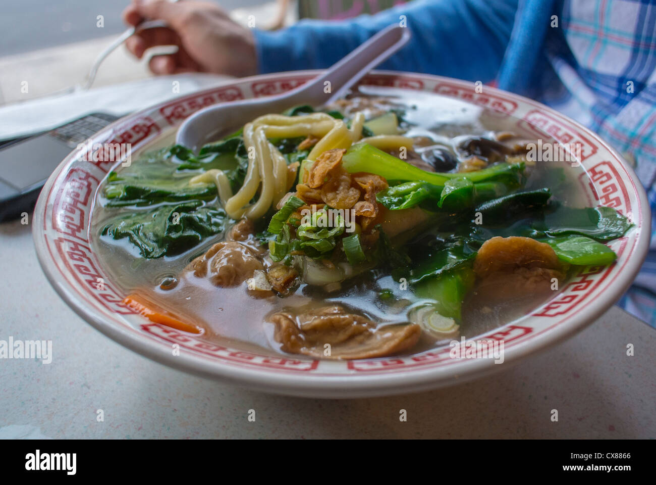 New York, NY, USA, Detail CHinese Food Plate, Greenwich Village, Eating
