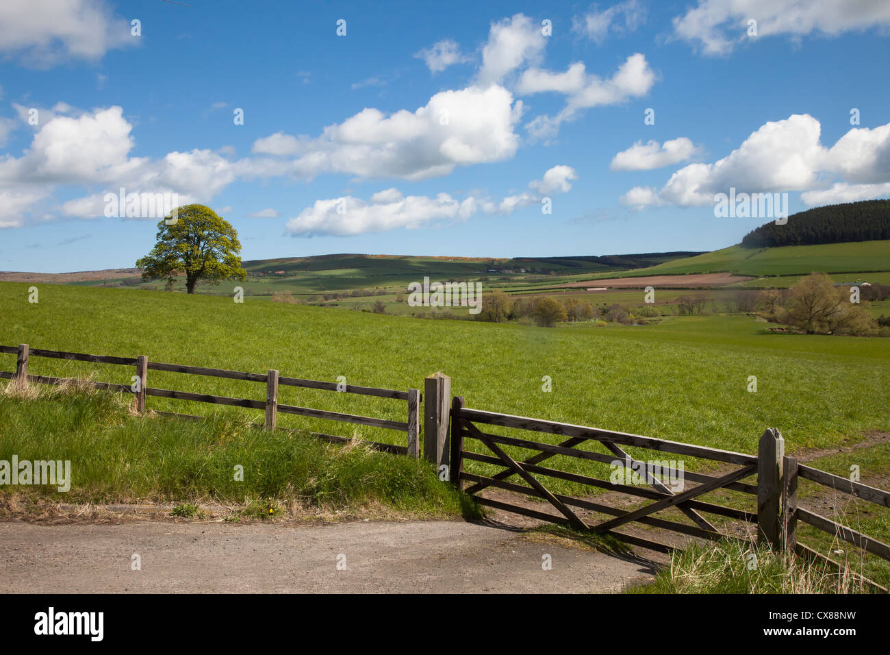 Fence fences fencing gate gates hi-res stock photography and images - Alamy