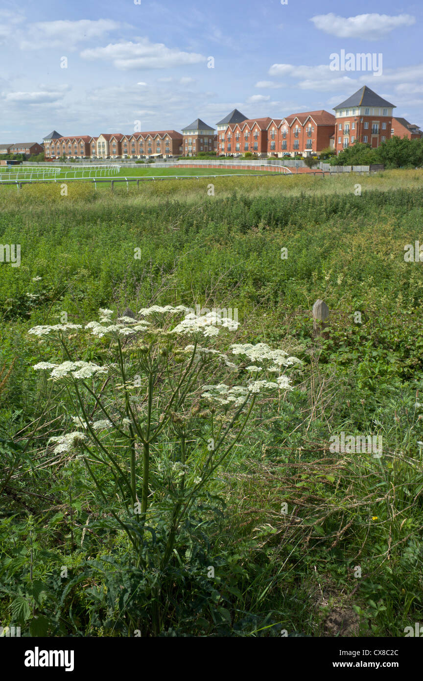 racecourse new housing and flats stratford upon avon warwickshire