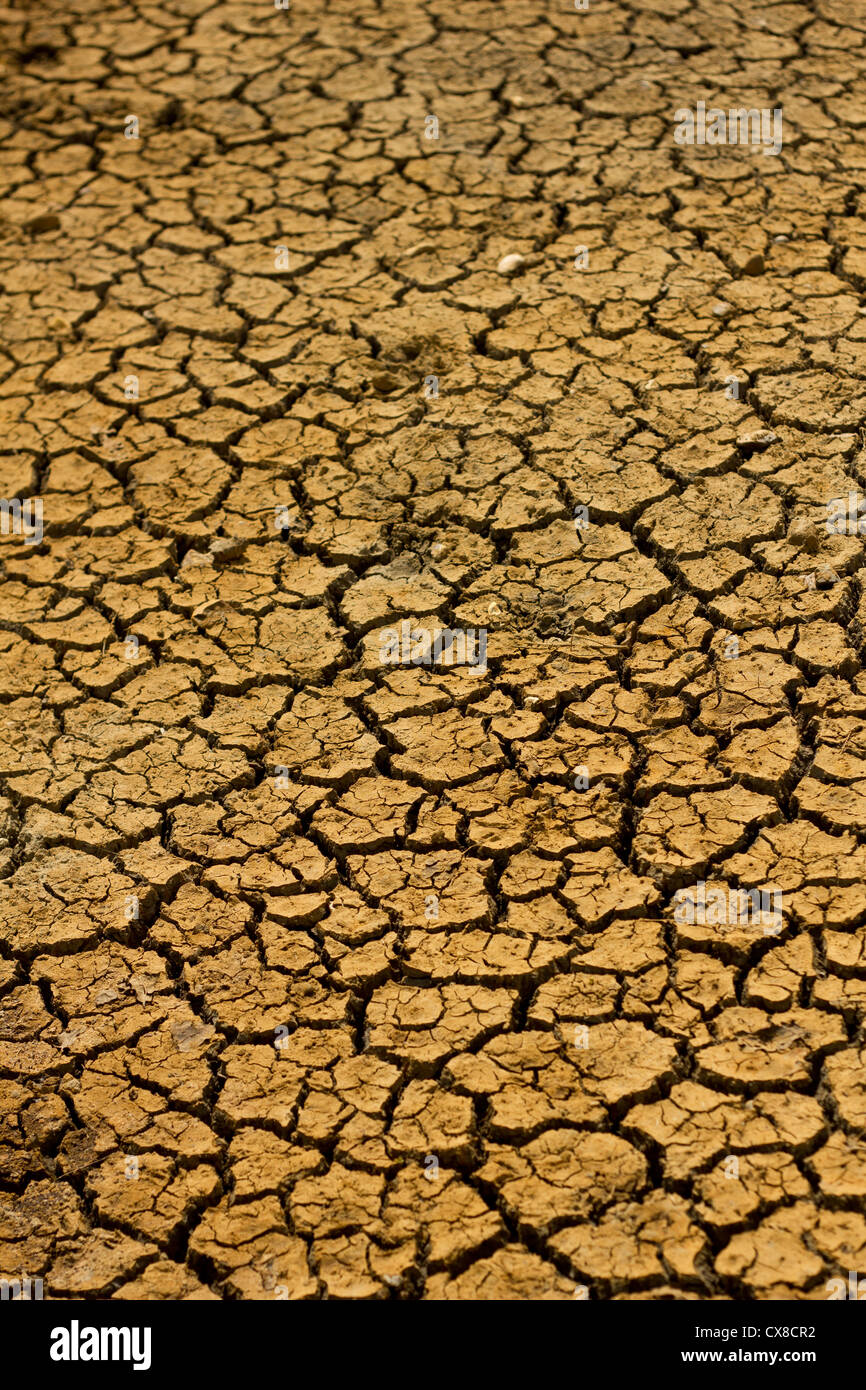Environmental image. Drought conditions showing sun baked cracked mud
