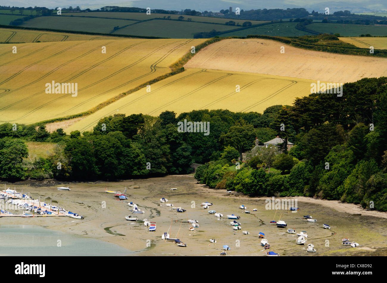 view of the kingsbridge estuary salcombe devon england uk Stock Photo ...