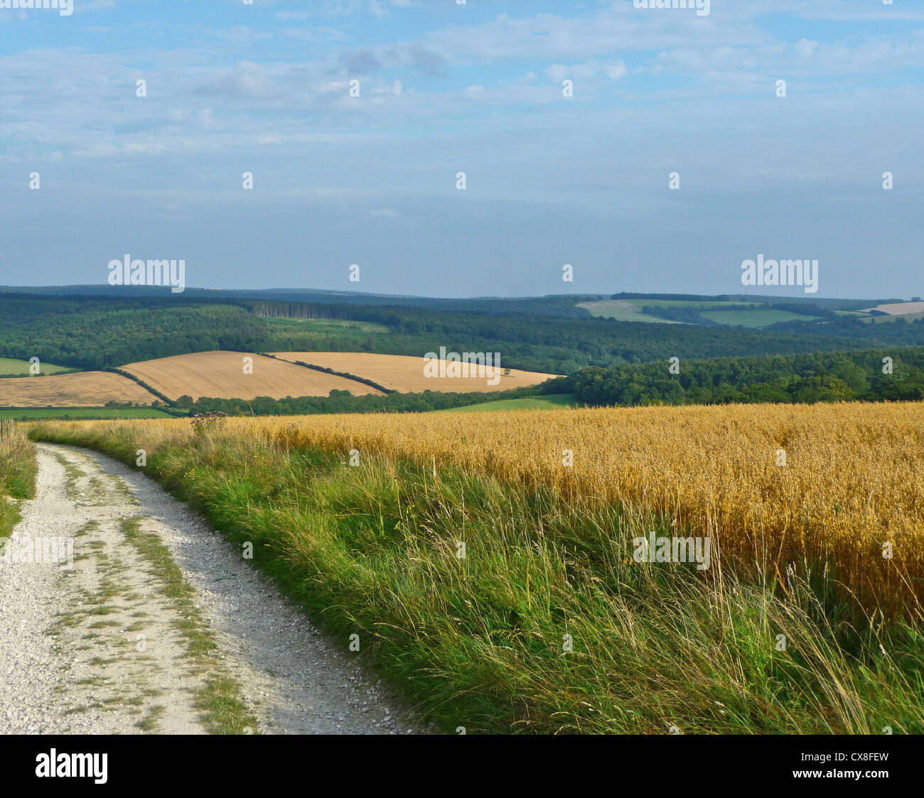 A view of the South Downs Way in West Sussex. This is a National Trail in the form of a 100 mile path for walkers, cyclists and horse riders between Winchester and Eastbourne. Stock Photo