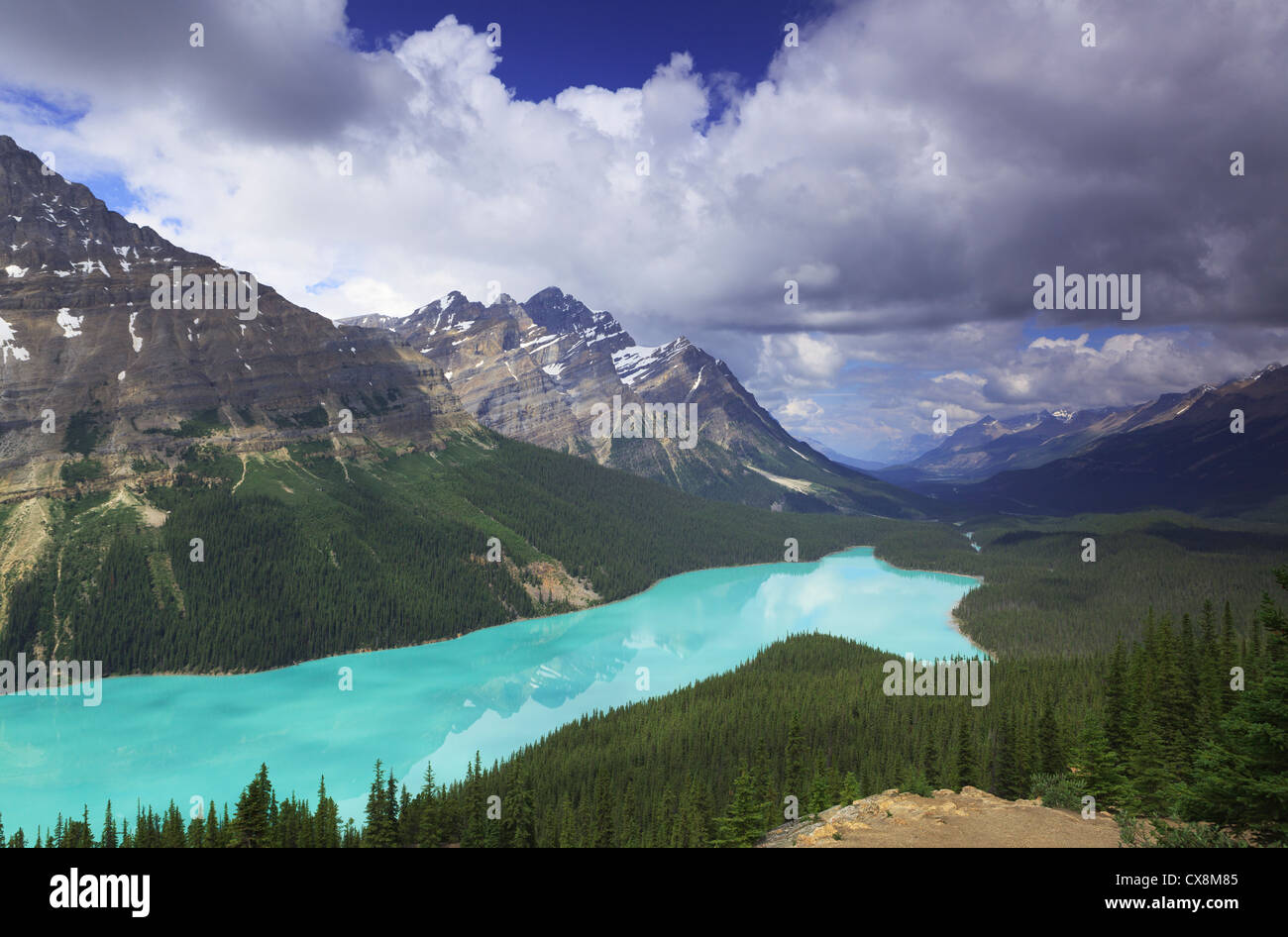 View of Peyto Lake in Banff National Park, Canada Stock Photo - Alamy
