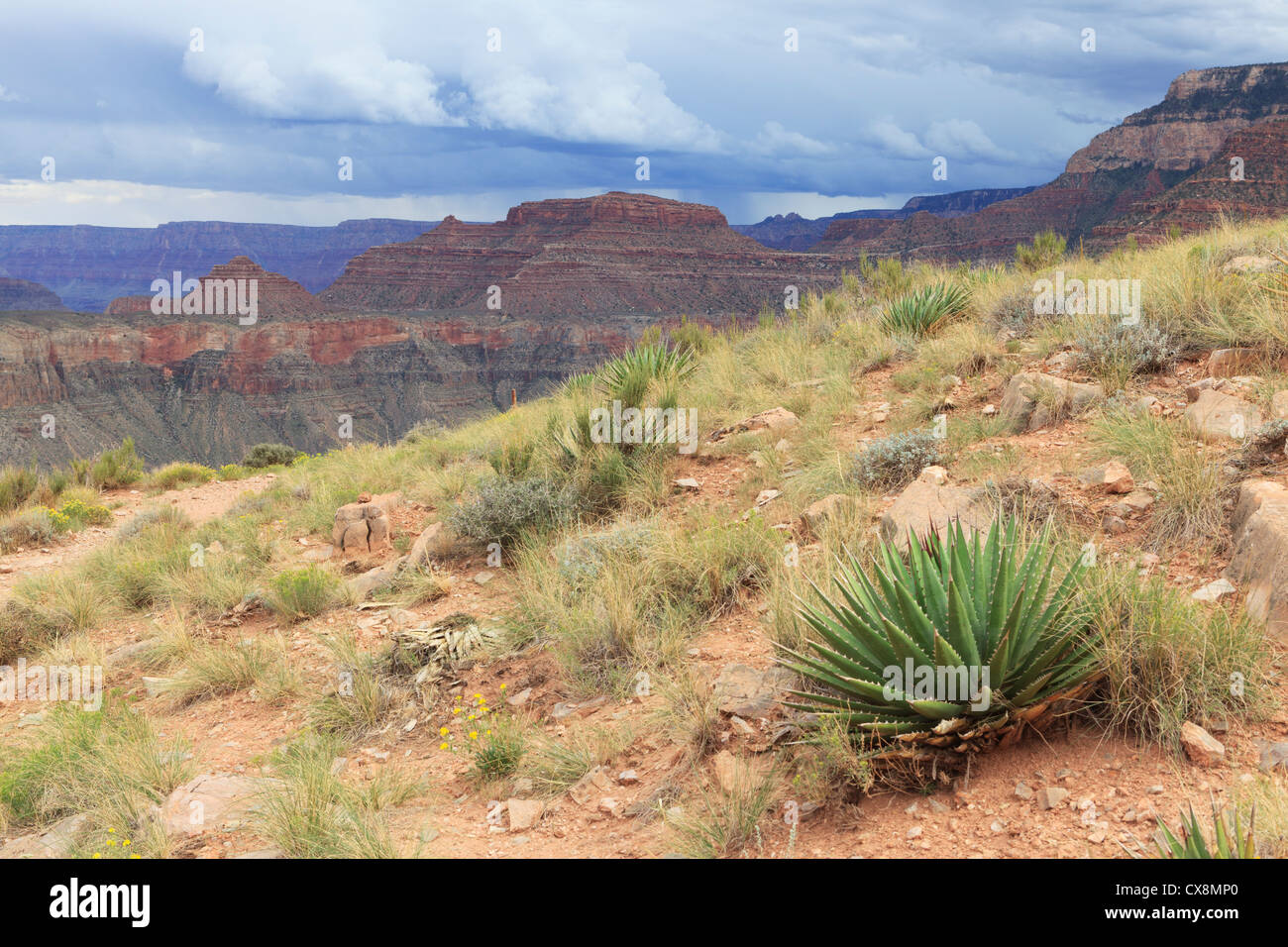 Storm clouds over the Grand Canyon Stock Photo - Alamy
