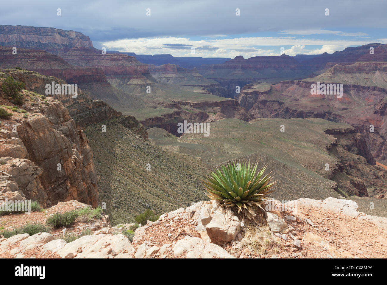 View of the inner Grand Canyon from Skeleton Point on South Kaibab Trail Stock Photo Alamy