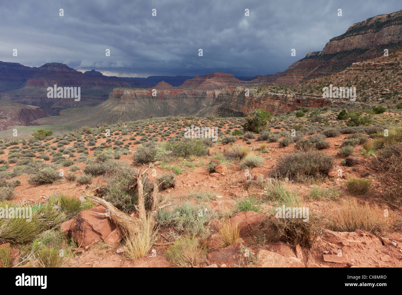 Storm clouds over the Grand Canyon Stock Photo - Alamy