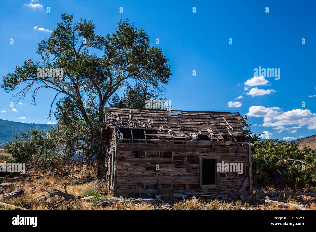 A dilapidated house and water tower at an old homestead in Reno Nevada