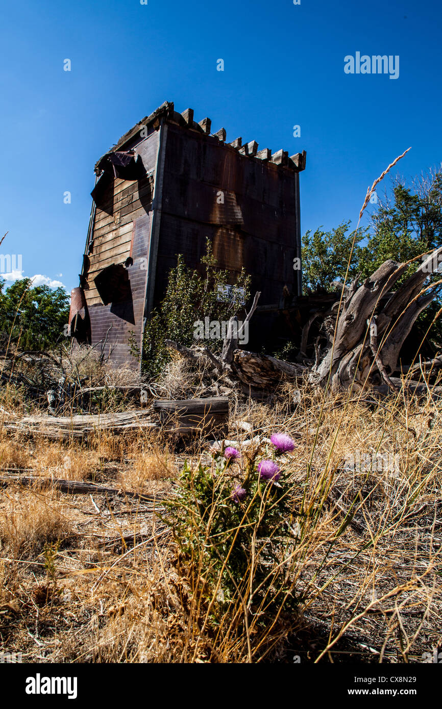 A dilapidated house and water tower at an old homestead in Reno Nevada