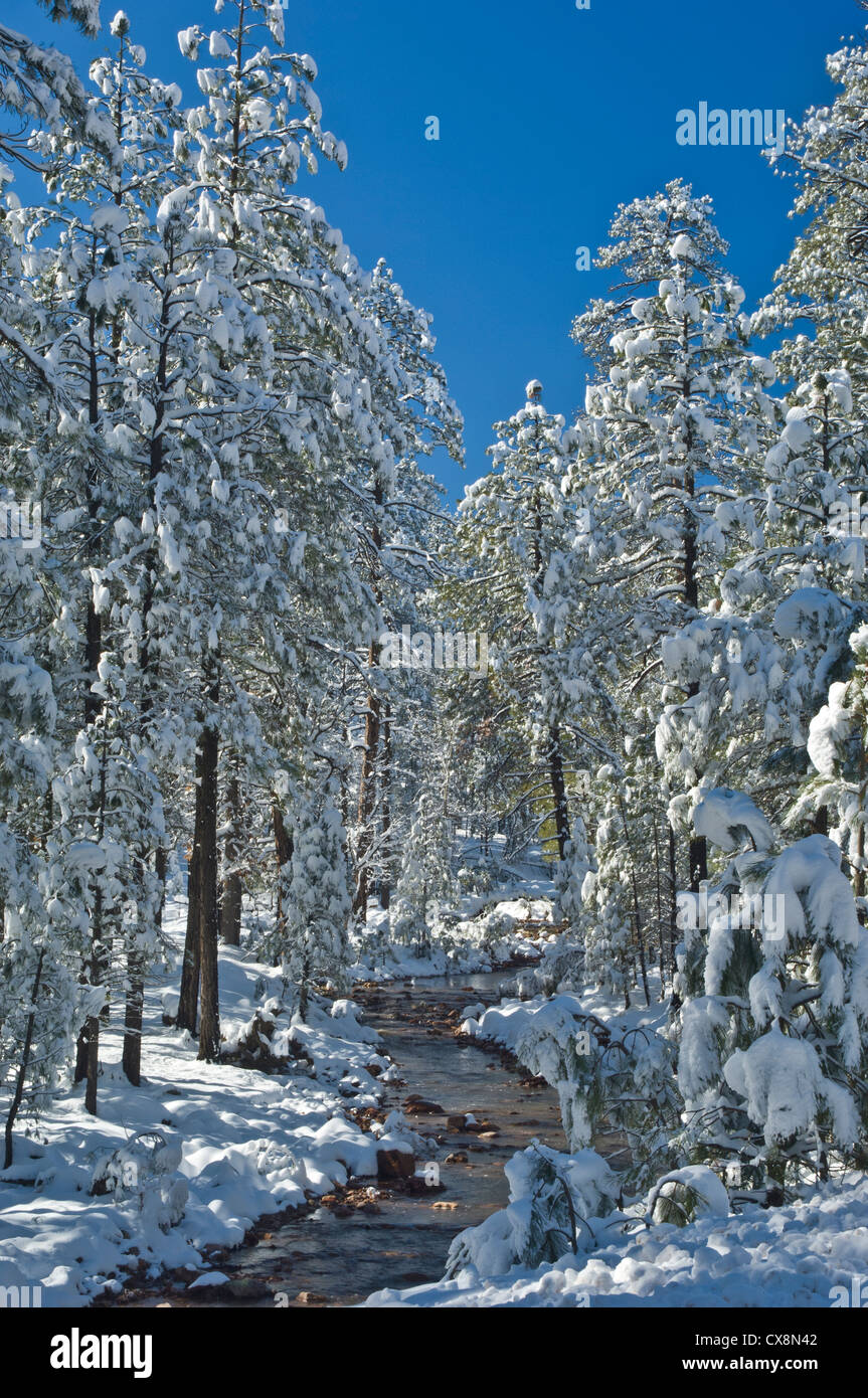 The Mogollon Rim is a topographical and geological feature running ...